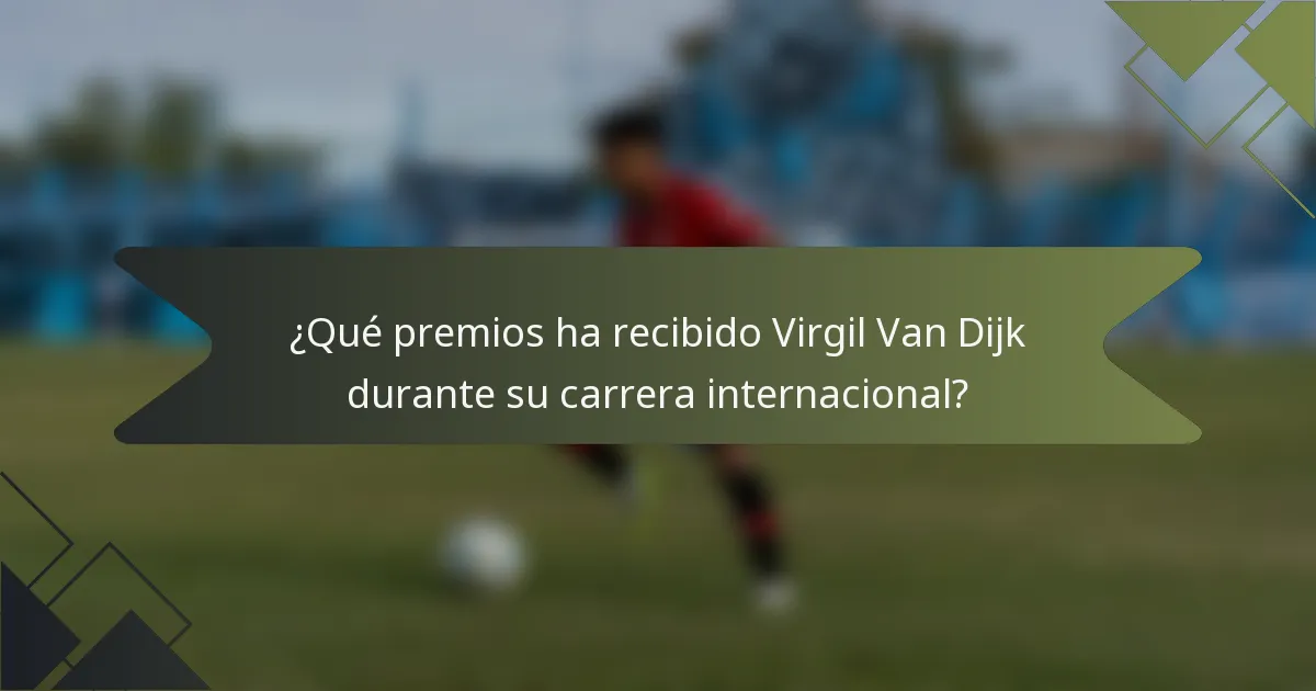 ¿Qué premios ha recibido Virgil Van Dijk durante su carrera internacional?